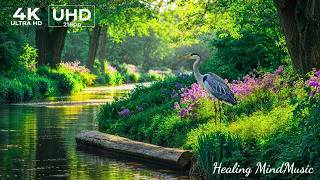 Pulihkan sistem saraf Anda 🌿 Musik relaksasi yang indah, Berhenti Berpikir Berlebihan