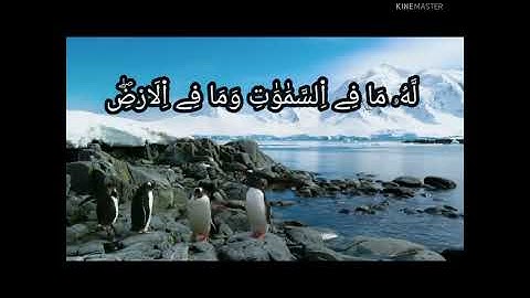 🍂آيات الكرسي بصوت هادئ 🌺راحة نفسية فيديو قصير حالات واتس اب دينية 🌹