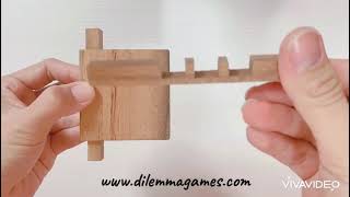 LOCKED STICKS, an interlocking brain teaser burr like...by DILEMMA GAMES