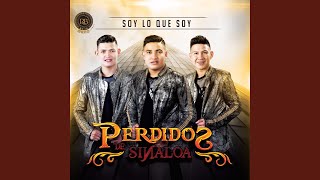 Video thumbnail of "Perdidos de Sinaloa - Mi Sueno Seria"