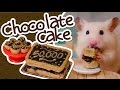 🍫 Hamster-Safe Chocolate Cake | HAMSTER KITCHEN 🍫