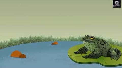 Sample Chapter - Experimental Physiology