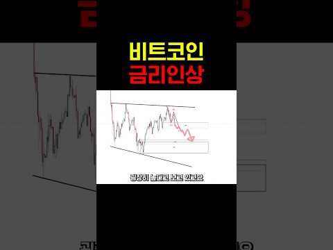비트코인, 이렇게 됩니다.