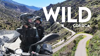 Exploring Corsica's WILD ROADS Motorcycle Touring Adventure