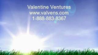 Valentine Ventures - For Sale By Owner Specialists