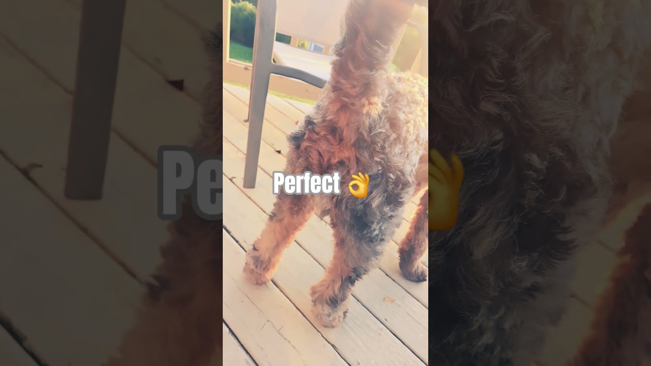 perfect in all aspects😍👌