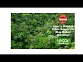 How to Mobilise Public Support to Stop Global Warming 1