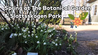 Spring time at the Botanical Garden (Göteborg, Sweden), Slottsskogen