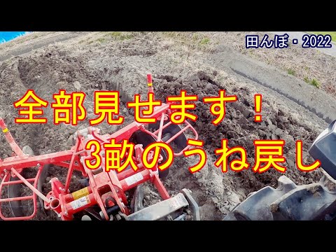 田んぼページ Three-ridge rice field, disc rotary, ridge return work, rice field