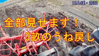 田んぼページ 1981-datsun-280-zx-turbo-105-