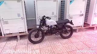 Win ld Tracker 12tr | CAYBUAVANG.VN