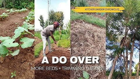 The First Vegetable Bed Failed, So We Had To Make Another One