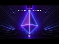 Alok Slow It Down Extended Mix mp3