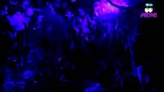 Pacha Moscow TV - HARLEM SHAKE PARTY