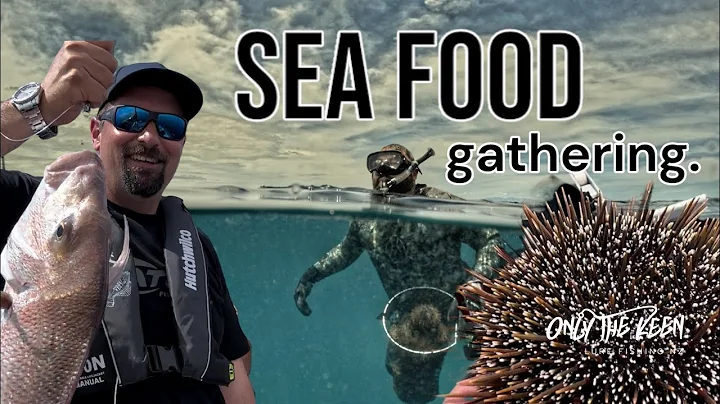 Snapper and Kina (Sea Urchin) for food. #fishing #slowpitchjigging #newzealand