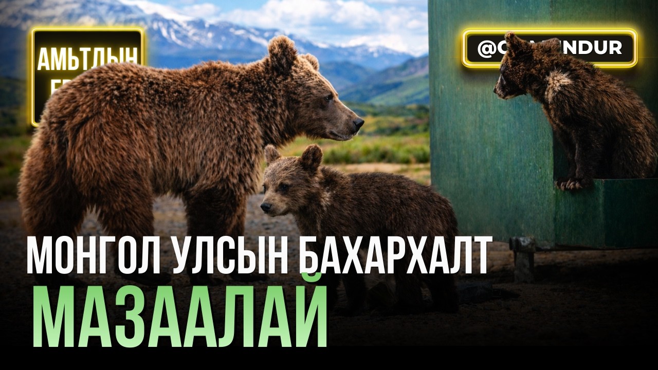 Тэнгэр уулын зүг - Монгол улсын бахархалт амьтан мазаалай - АМЬТДЫН ЕРТӨНЦ