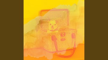 Pulsating Music for Backyard Dog Party