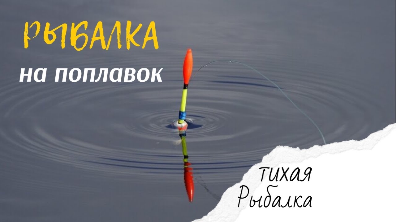 Плотва на волге
