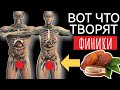Всего ТРИ ФИНИКА В ДЕНЬ запустят необратимые процессы в вашем организме.ФИНИКИ польза или вред?