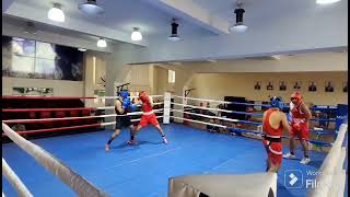 weakly normal boxing sparing#tips#tricks#motivation#