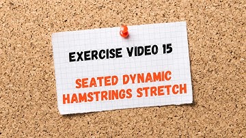 Exercise Video 15. Seated Dynamic Hamstrings Stretch