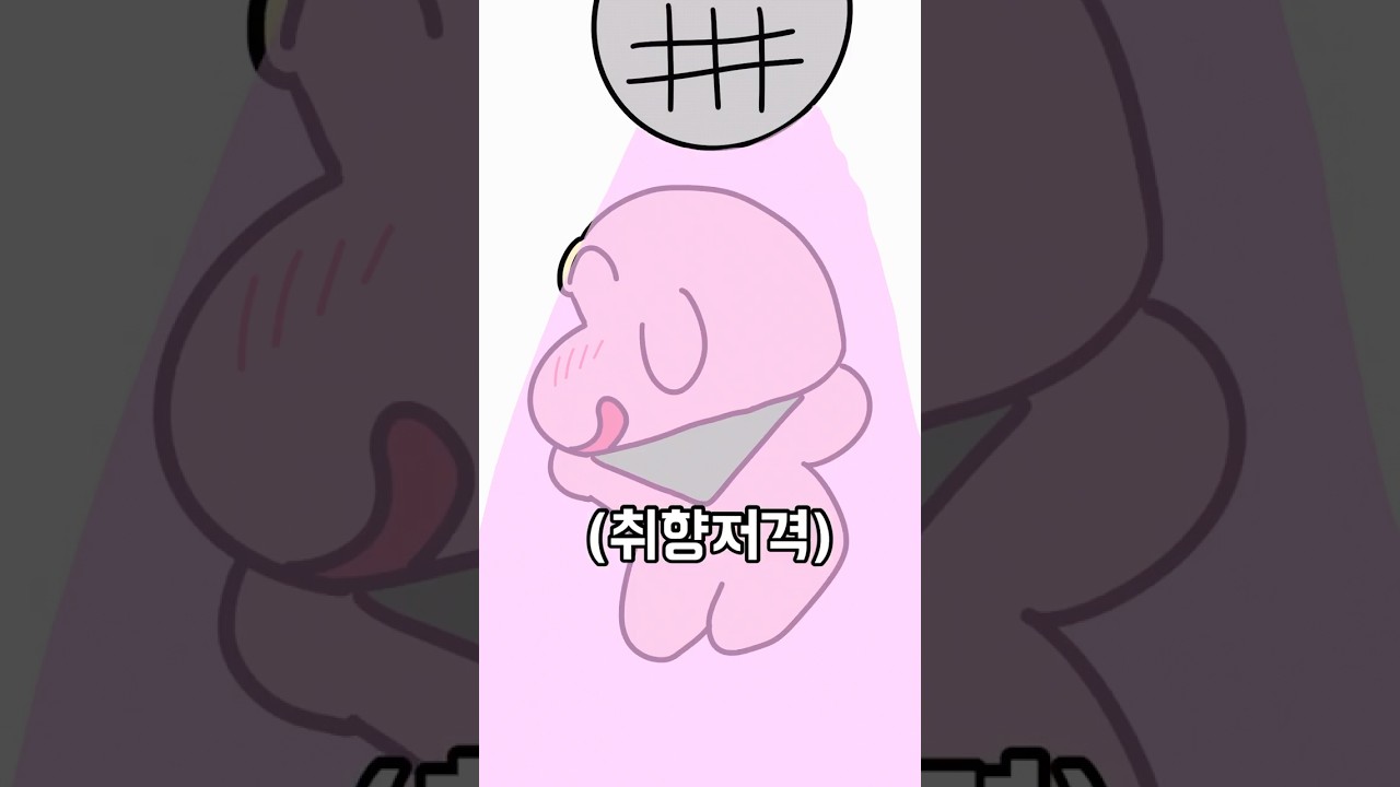 화장실 전등 갈기 