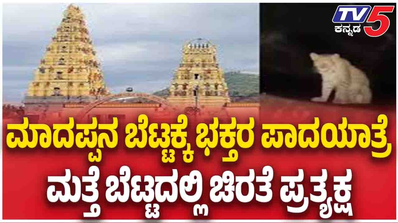 Leopard Spotted Again At Male Mahadeshwara Hills, Devotees In Fear| ಬೆಟ್ಟದಲ್ಲಿ ಮತ್ತೆ ಚಿರತೆ ಪ್ರತ್ಯಕ್ಷ