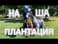 АМЕРИКАНСКАЯ ПЛАНТАЦИЯ ♡ НА МАШИНЕ ПО США ♡ЮЖНАЯ КАРОЛИНА