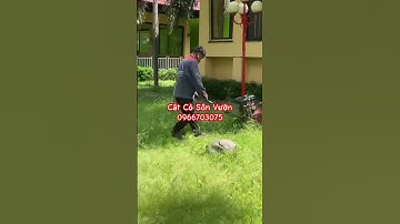 Máy Cắt Cỏ Nhung Nhật Sân Vườn Cắt Cỏ Công Viên rất đẹp #0966703075