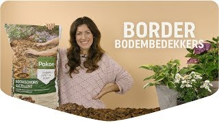 Kies De Bodembedekker Die Bij Jouw Tuin Past