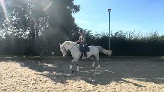Ozzy flat work