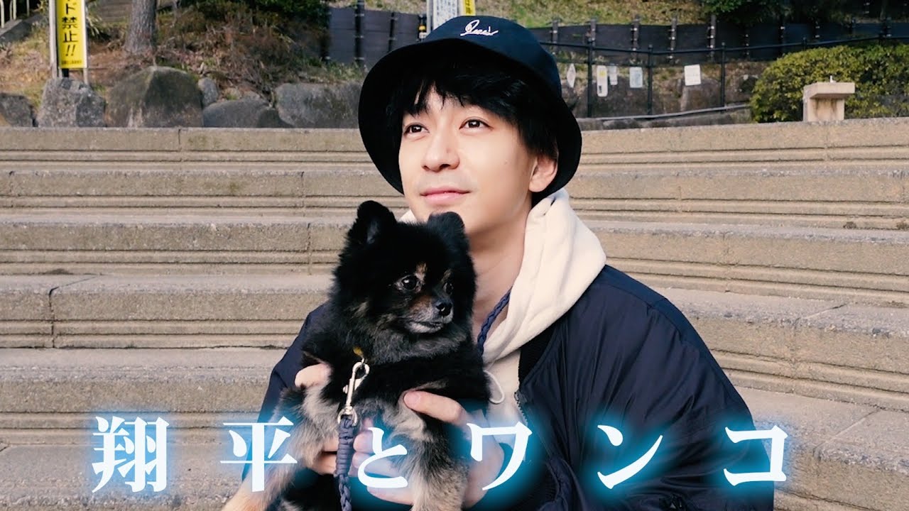 Vlog 三浦翔平と犬の散歩に同行したら感動作になった Youtube