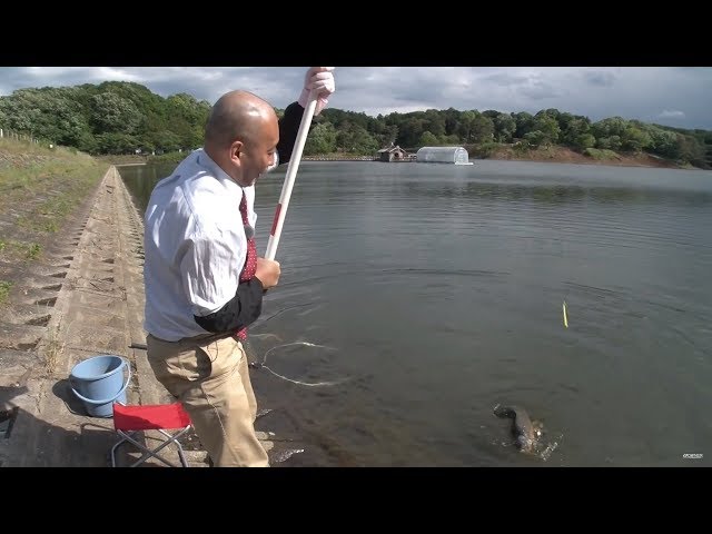 162 The beating of a big fish heats up the calm lake surface ~ The