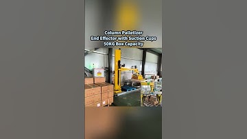 Palletizer robot handling a 50kg carton