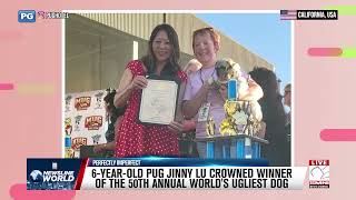 6-YEAR-OLD PUG JINNY LU CROWNED WINNER OF THE 50TH ANNUAL WORLD'S UGLIEST DOG