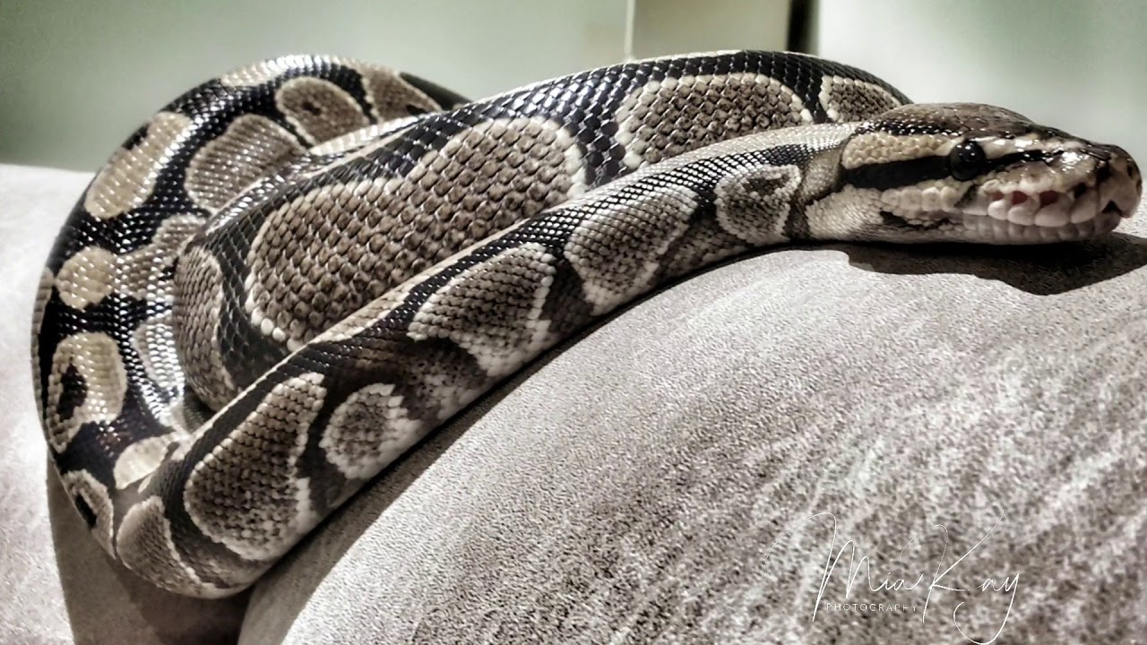 MK Photography promo clip version 1.