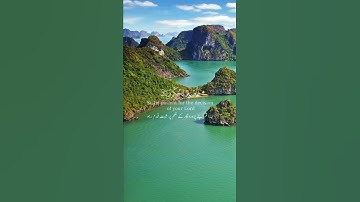 إنا نحن نزلنا عليك القرآن تنزيلا فاصبر لحكم ربك 🌿قرآن كريم 🌿