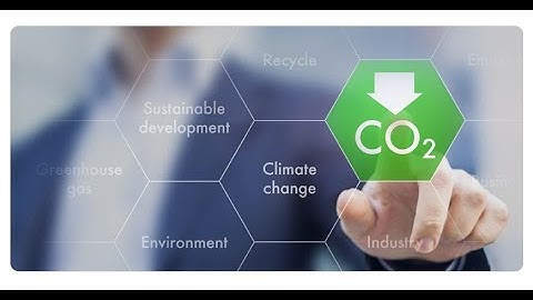 Ricoh Carbon Calculator