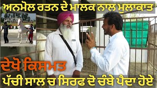 ਪੱਚੀ ਸਾਲ ਸਿਰਫ ਦੋ ਚੰਬੇ ਬੱਚੇ ਪੈਦਾ ਹੋਏ,,, intervew with owner of anmol ratan