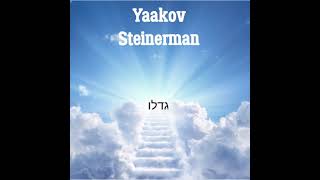 Yaakov Steinerman Original- גדלו