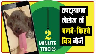व्हाट्सएप्प मैसेज में मजेदार चलते-फिरते चित्र लगाएँ | How to use animated images in WhatsApp screenshot 1