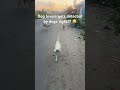 Subscribe and like