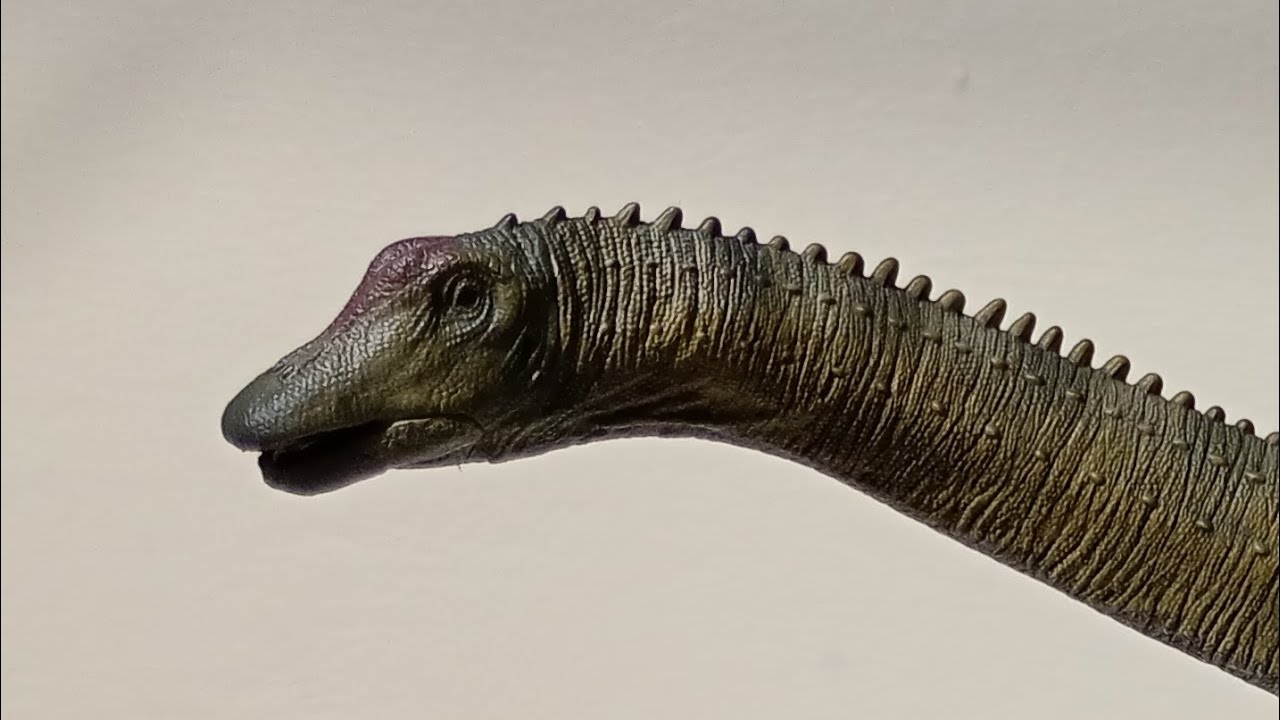 REBOR Diplodocus carnegii 