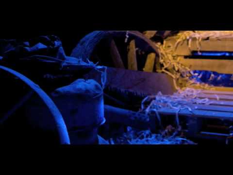 Elephant Wake stages of mitosis