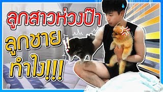 สงครามลูกหมา!! เมื่อลูกสาวหวงพ่อ ลูกชายทำไงดี!? l ก็ผมมีลูกเป็นหมา EP.43