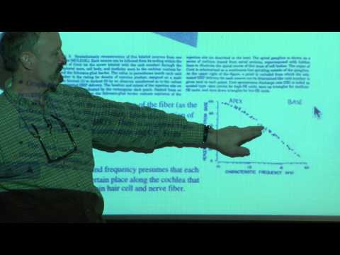 MIT: Lec 16: Auditory nerve; psychophysics of frequency resolution