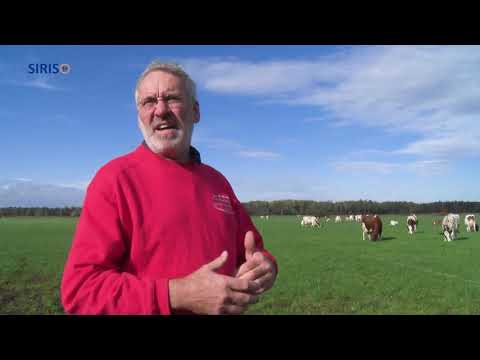 Henk Kerkers, een bijzondere melkveehouder