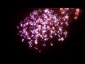 2010 山梨 神明の花火  星降夜空に咲く花・真夏の面影