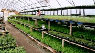 Organic Agriculture in the City of Toronto - Fresh City Farms