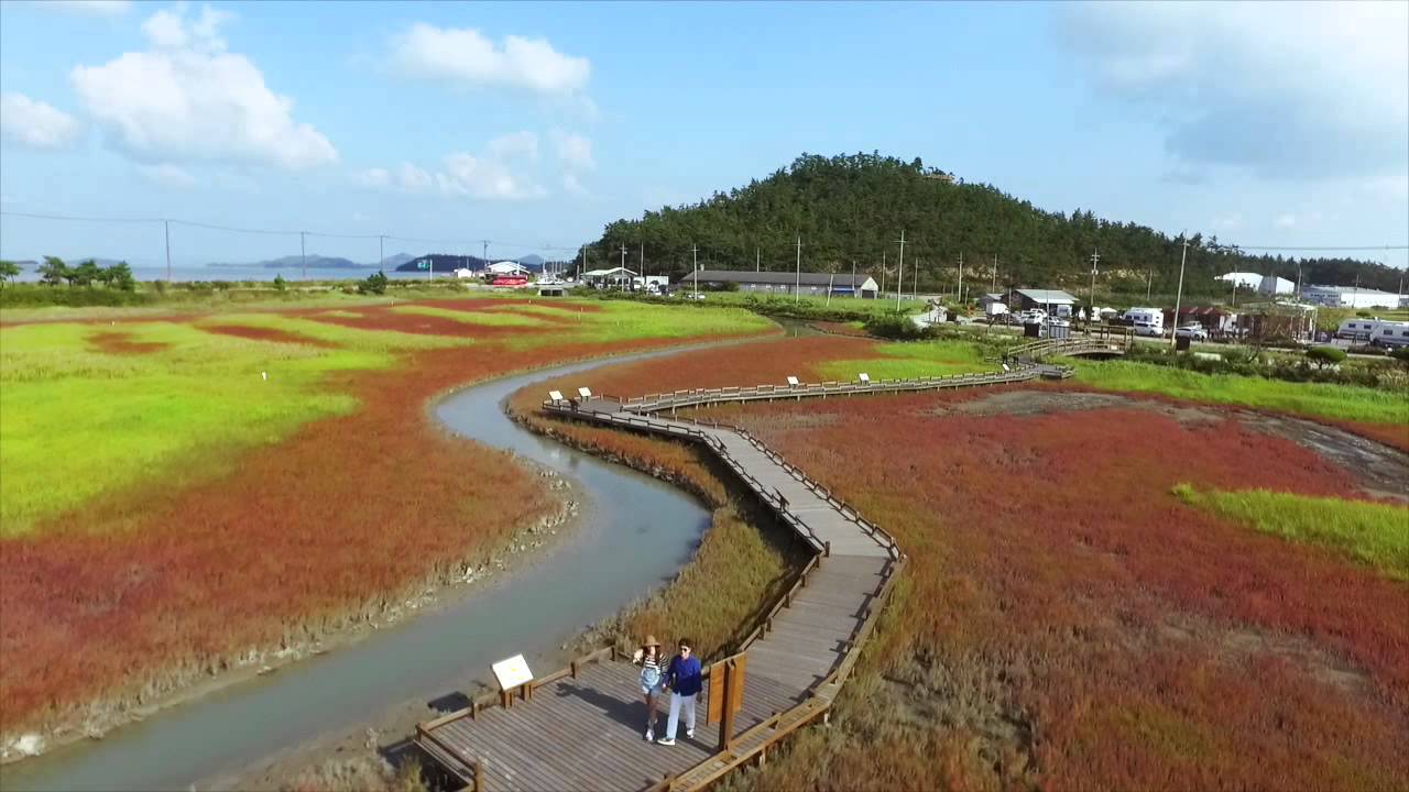 하늘에서 본 남도_신안군 증도 태평염전_가본 - YouTube